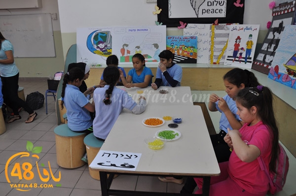 zhara2 school j3 (9).JPG